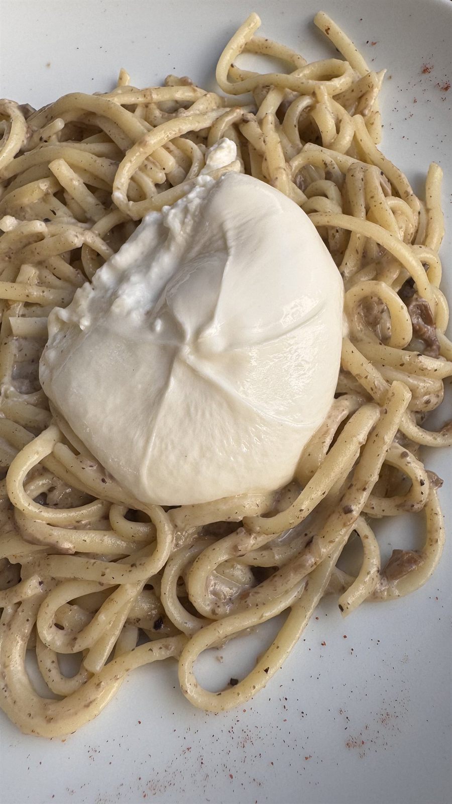 Pâtes servies avec une burrata entière