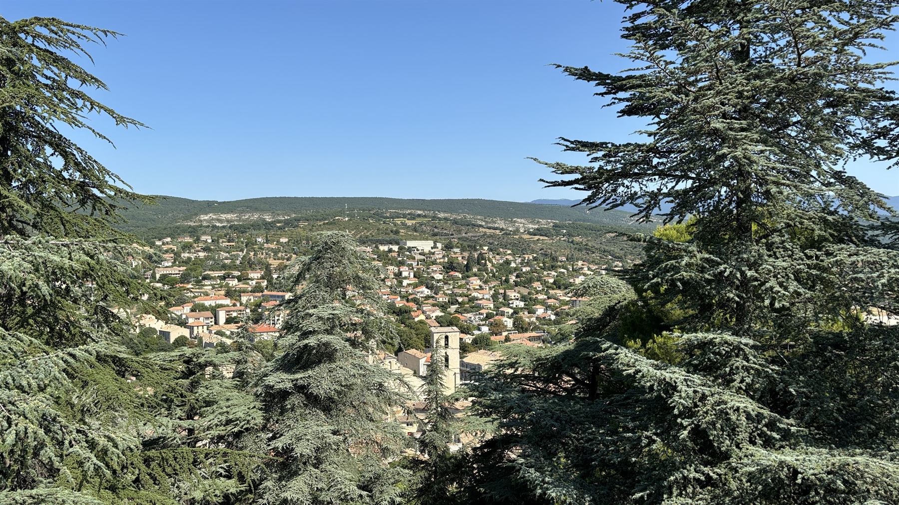 Vue sur Forcalquier depuis la citadelle, entre les cèdres